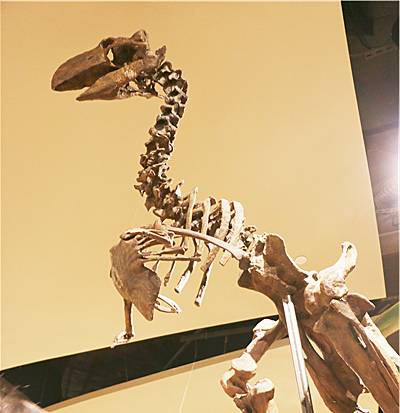 诚品书店要逛多久,诚品书店大概逛多久