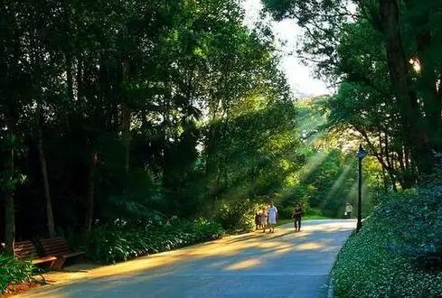 成都三环路绿道租自行车,肇庆绿道租自行车