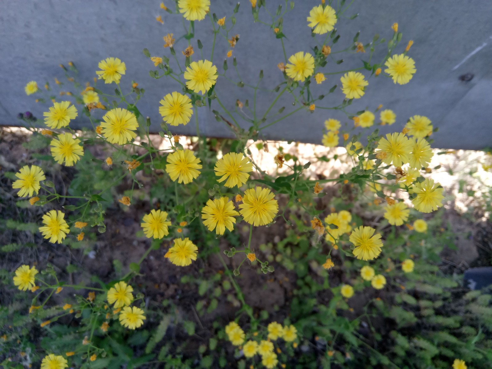 <html>
<head><title>502BadGateway</title></head>
<body>
<center><h1>502BadGateway</h1></center>
<hr><center>nginx</center>
</body>
</html>
<!--apaddingtodisableMSIEandChromefriendlyerrorpage-->
<!--apaddingtodisableMSIEandChromefriendlyerrorpage-->
<!--apaddingtodisableMSIEandChromefriendlyerrorpage-->
<!--apaddingtodisableMSIEandChromefriendlyerrorpage-->
<!--apaddingtodisableMSIEandChromefriendlyerrorpage-->
<!--apaddingtodisableMSIEandChromefriendlyerrorpage-->
