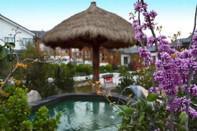 山东德百温泉旅游小镇,山东德州德百温泉度假村