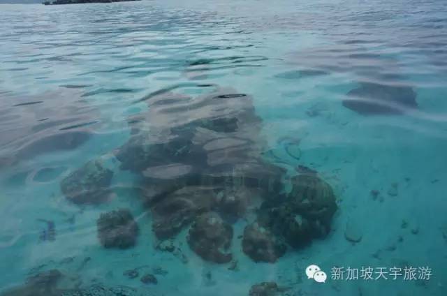 泰国的马尔代夫丽贝岛,泰国马尔代夫的海岛