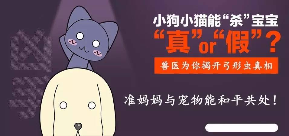 怎么才能感染弓形虫,弓形虫怎么感染到人身上