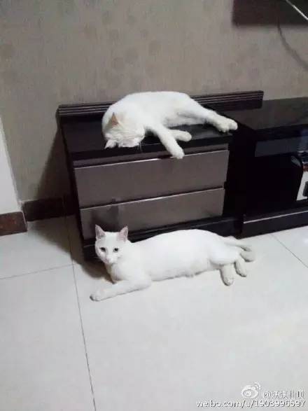 走到流浪的尽头,落入你的温暖怀抱