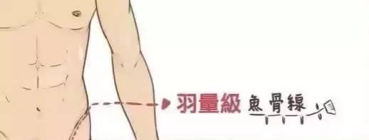 健身人鱼线动作教程,人鱼线健身动作大全