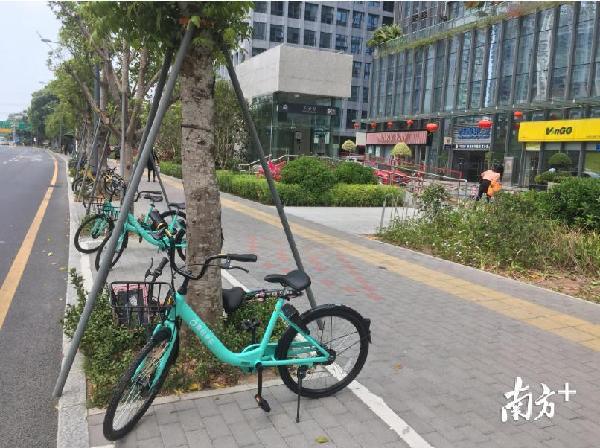 滴滴青桔违法行为怎么查看,滴滴青桔单车投诉