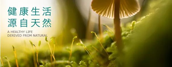 创业创新看浐灞丨坚持好产品从源头抓起它比你更关心你的健康