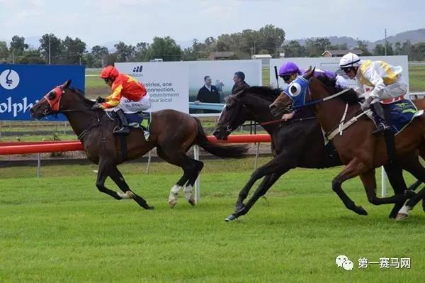 再夺一冠!蒙骏马业赛驹“紫禁城”今日澳洲扬威