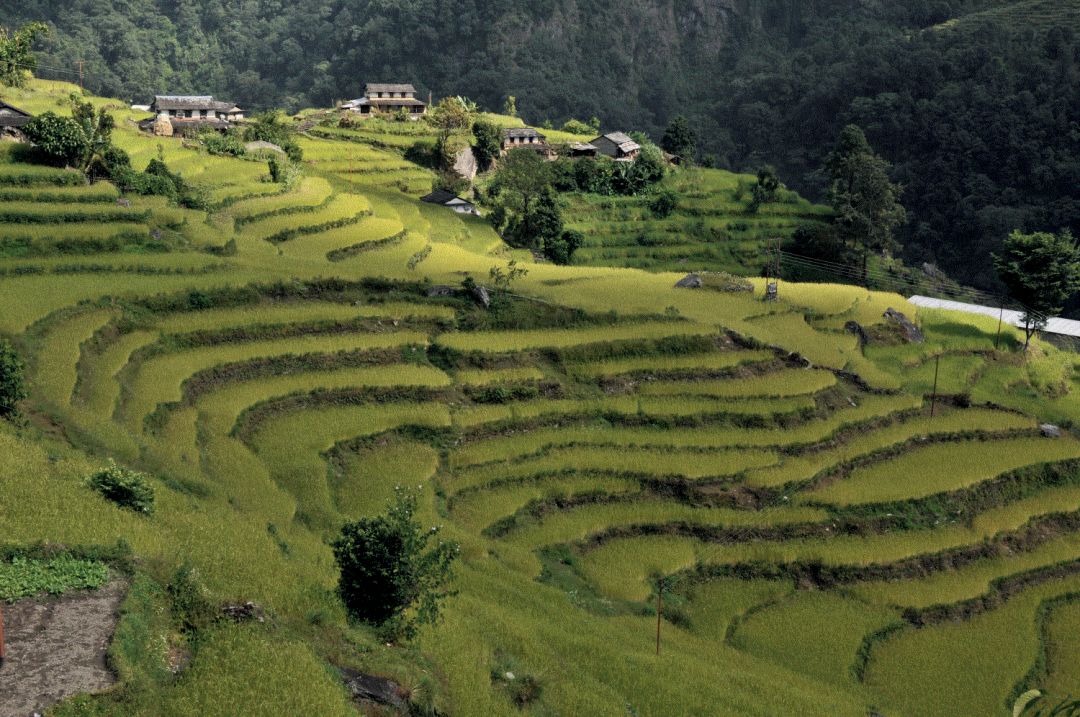 从寒冬到春天之路,从冬到春的旅程
