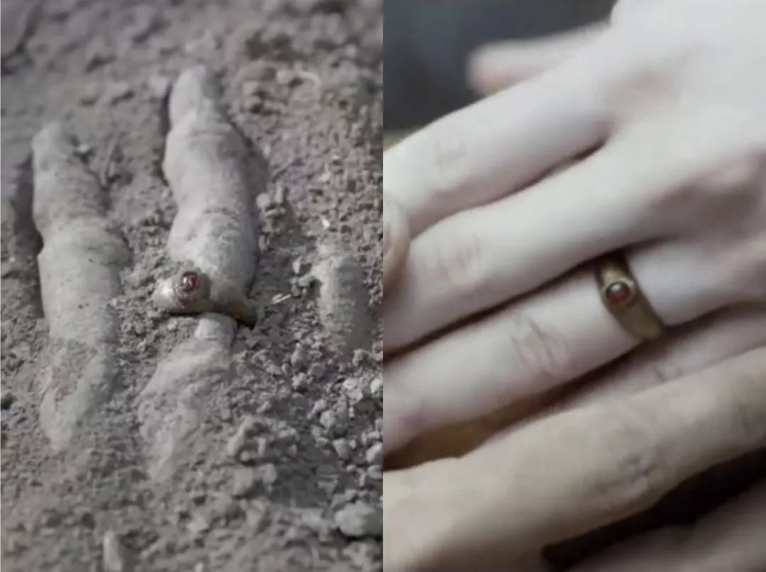 泰国一部很火的恐怖片,好笑的泰国恐怖片推荐