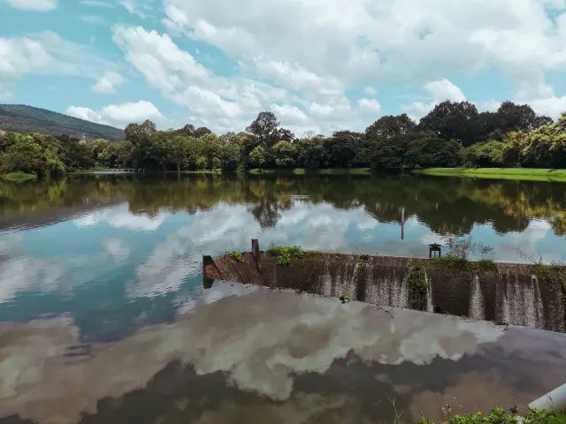 君行体验官专栏丨他在佛之国度，邂逅了一场浪漫