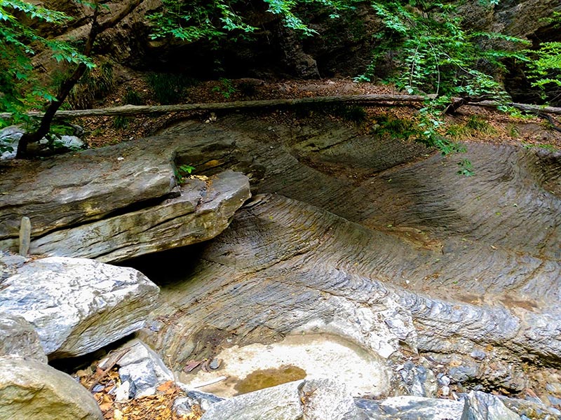 上方山森林动物世界游记,上方山动物园游记四年级