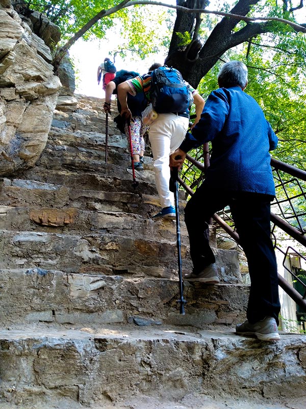 上方山森林动物世界游记,上方山动物园游记四年级