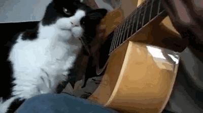 新买的吉他怎么开声,吉他开声和未开声区别