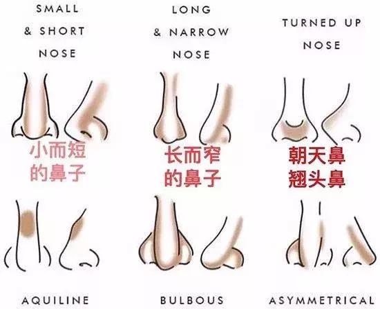 修容修的鼻子一边大一边小,如何修容修的棱角分明
