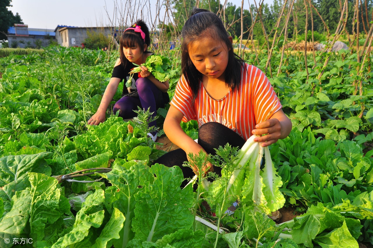 田园模式休闲农庄,休闲农业与休闲农庄的关系