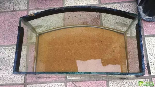 冬眠的正确疗法,冬眠的动物都怎么样越冬