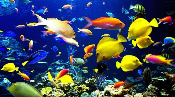 电子圈的父母六一带孩子去哪儿？