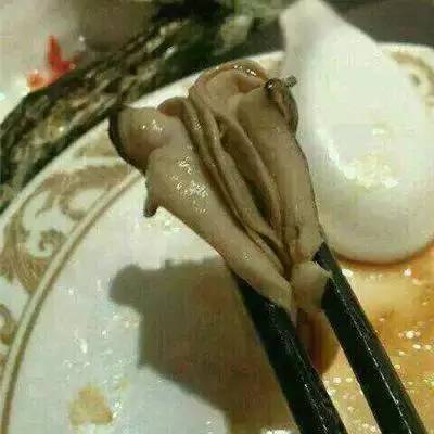 广西10大奇葩菜,广西特色暗黑料理