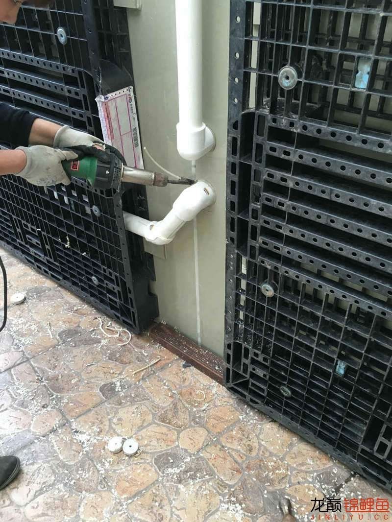 pp塑料锦鲤池,pp板材焊锦鲤池