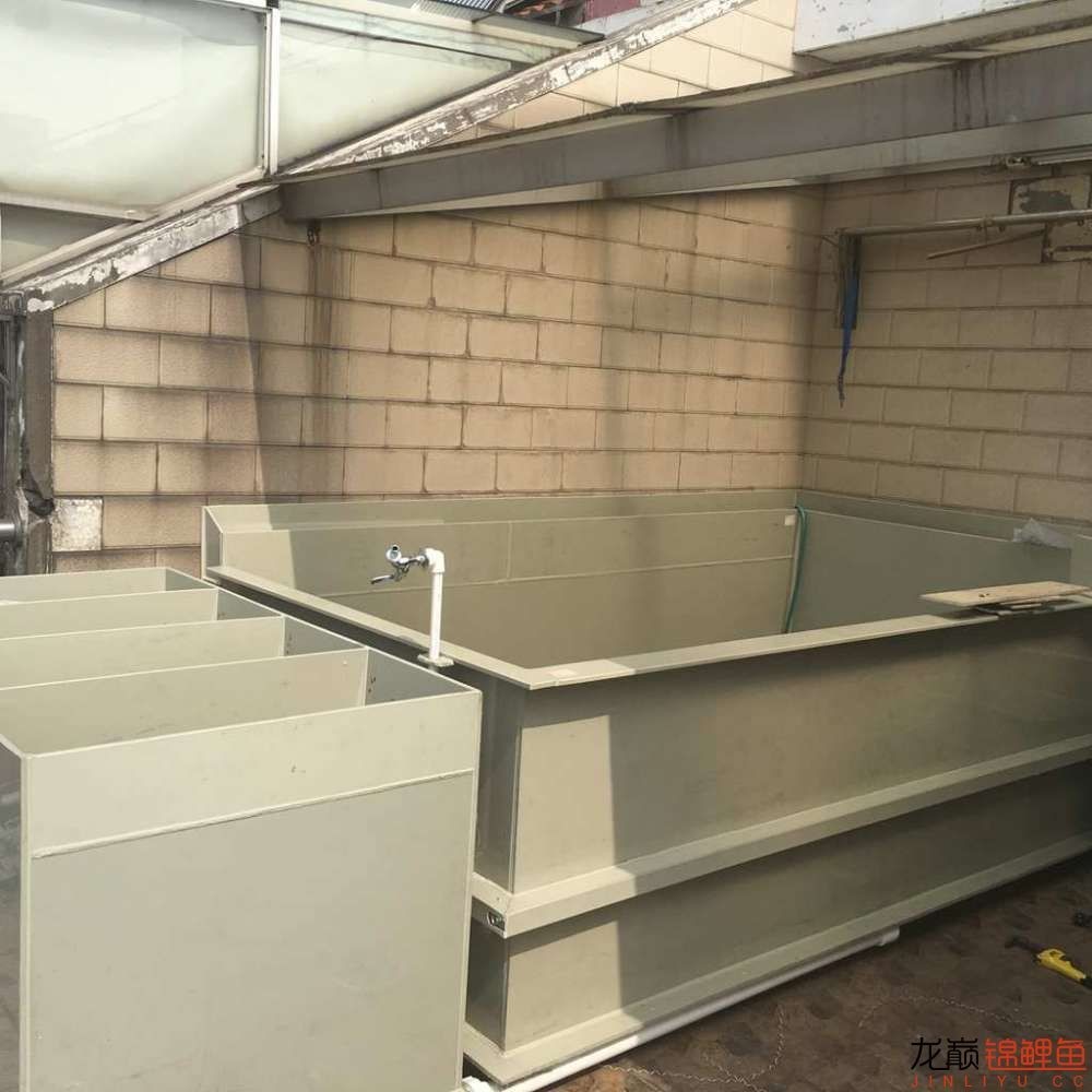 大型pp塑料锦鲤池,超大pp塑料锦鲤池