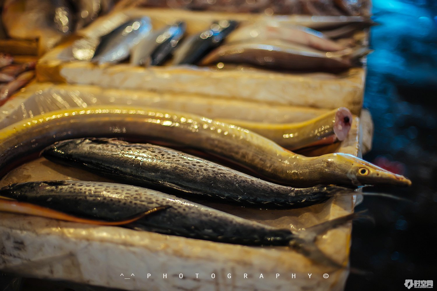 吃货美食分享海口,好吃的海鲜一日游