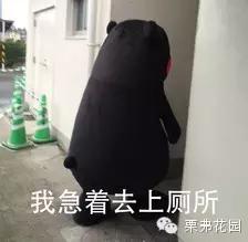 驾照最全攻略,驾照学习攻略