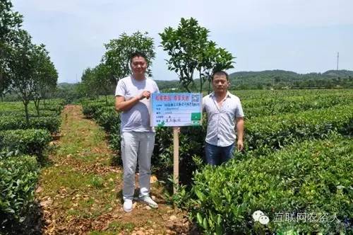 农业肥料私人订制模式,定制农业是啥