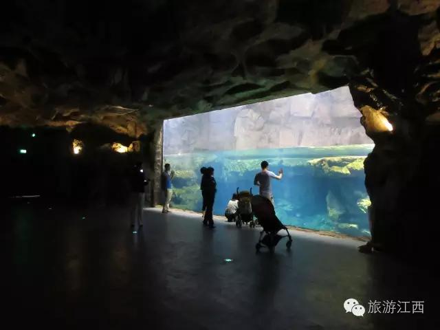 南昌万达城值不值得购买,南昌万达旅游城哪个区好