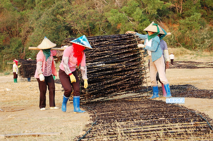 潮汕紫菜有多厉害,紫菜到底好不好