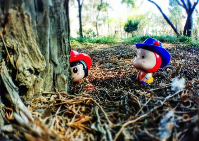 西安爱情故事全部,摄影我的青春岁月