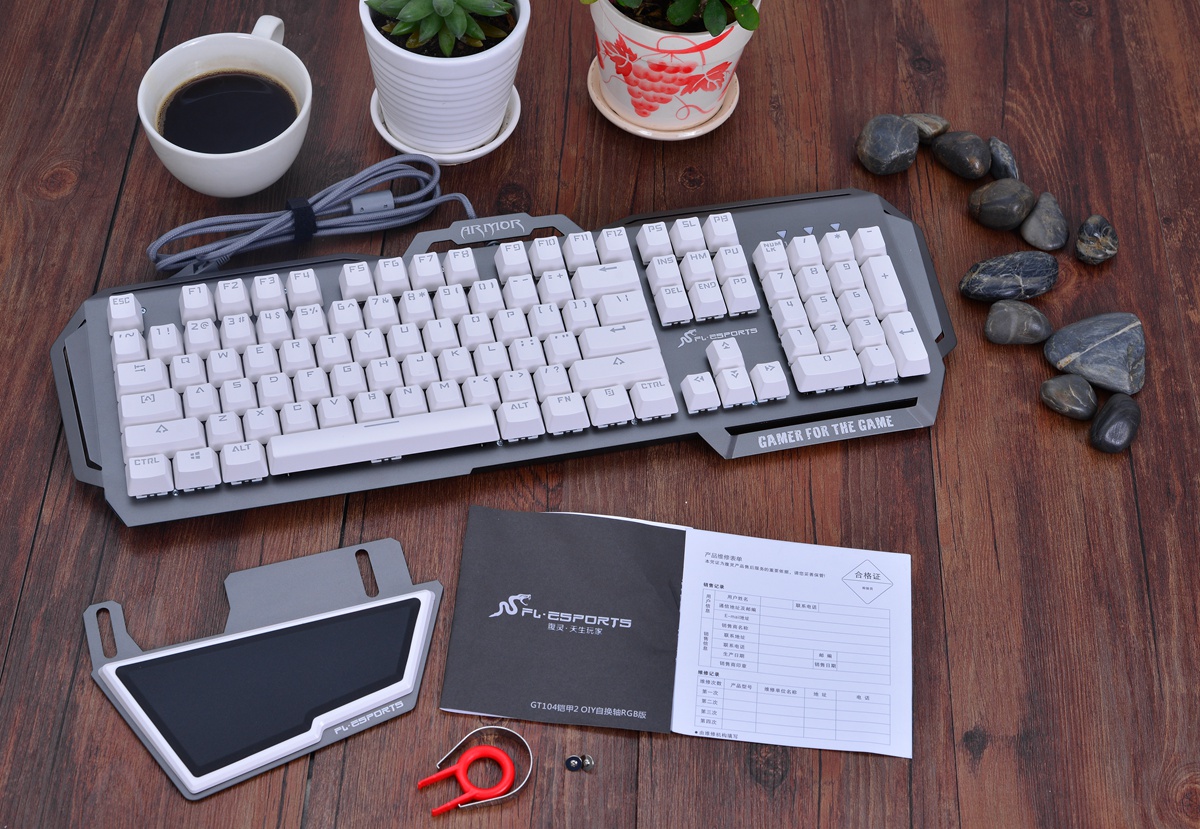 古典十号位前腰,古典十号罗德里格斯