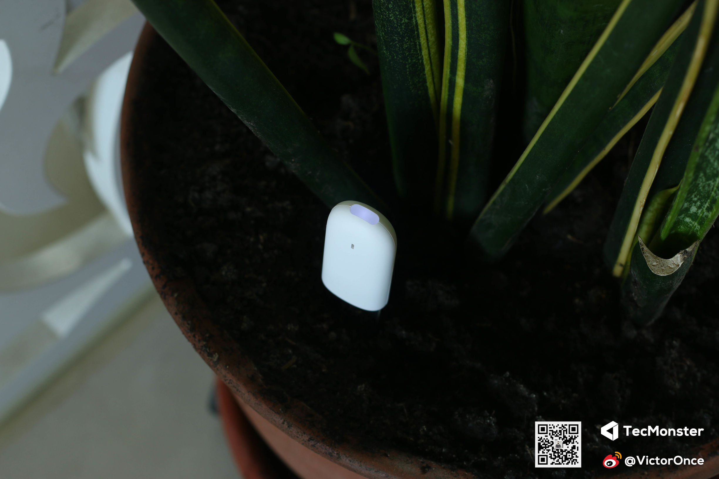 绿植栽培好帮手-花花草草检测仪