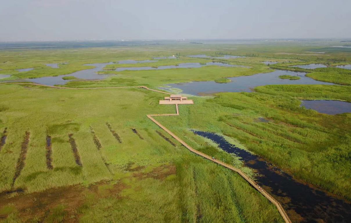 火讯财经主编赵一丹：我为什么会离开主流财经媒体ALLIN区块链