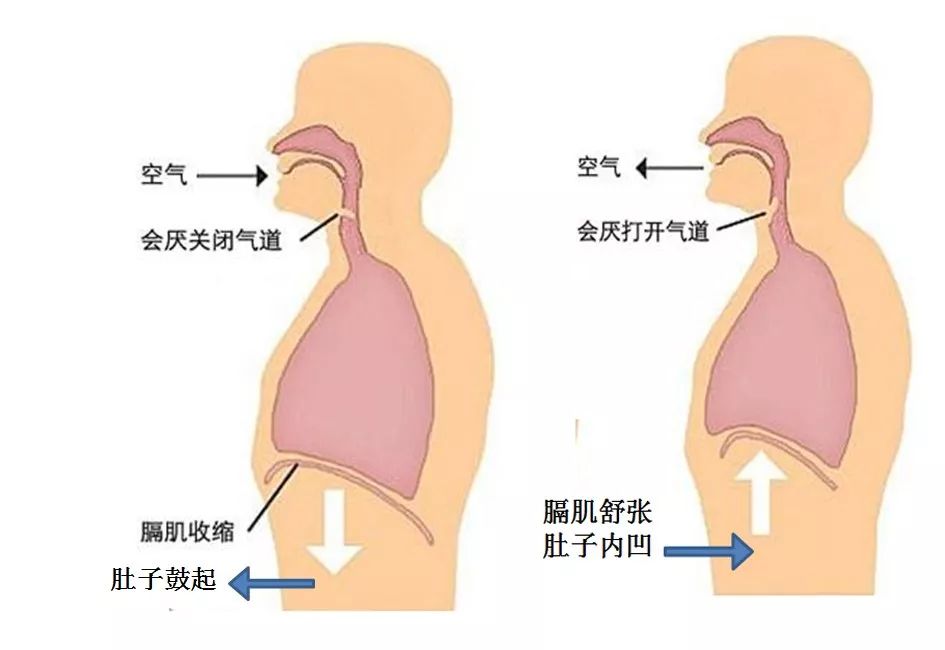 爱上健身的秘诀,为什么健身要控制呼吸
