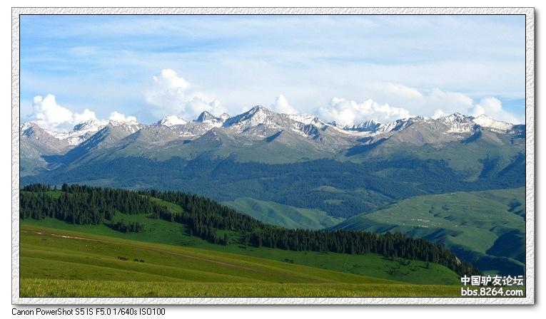 梦里花开——*疆新**，又一次的心动