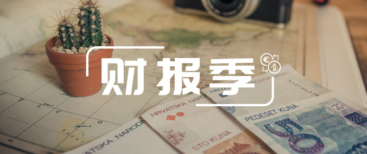 赛为智能第一季度业绩,赛为智能2019中报