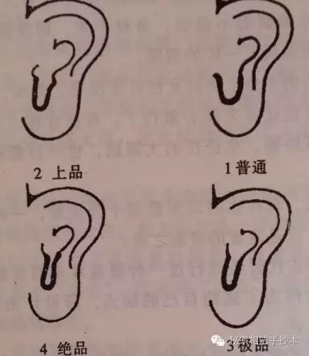 看耳朵知长相,如何看耳朵识别女人