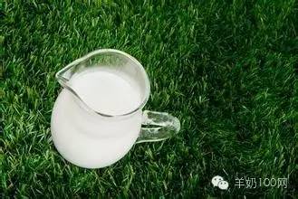 羊奶对肝有没有保护,羊奶滋养特润身体乳