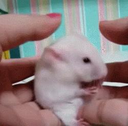 风靡日本的水素水有多神奇,水素水日本