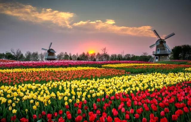 大写重庆,大写的重庆