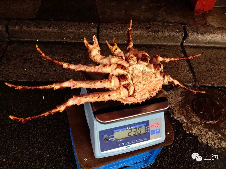 北海道攻略之函馆,北海道函馆观光