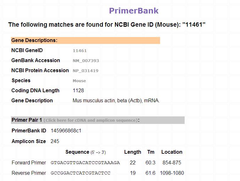 pcr引物设计软件优缺点,idt的在线引物设计工具