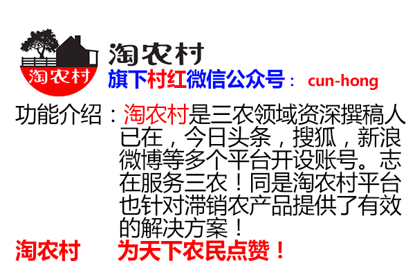 微商分销电商,微商的分销商去哪里找