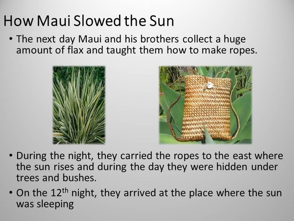 卓悦英语课程,卓悦英语速记