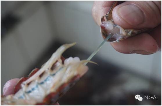 学做小龙虾最简单的方法,学做半成品小龙虾