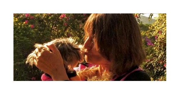 导盲犬小q动漫片影评,导盲犬小q电影总结