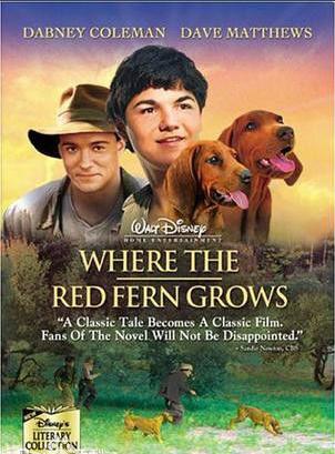 导盲犬小q动漫片影评,导盲犬小q电影总结