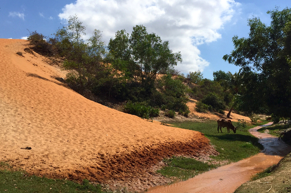 越南美奈溪美景,越南美奈越南语