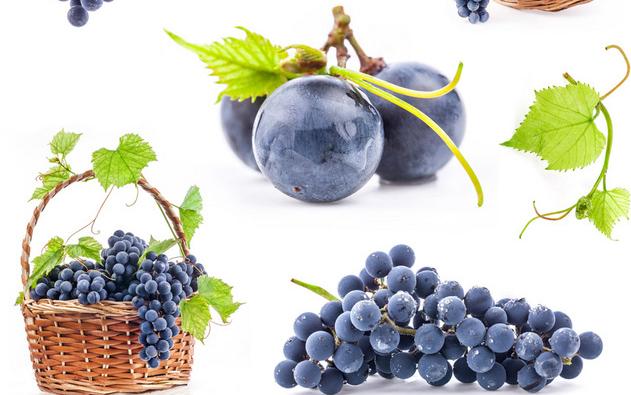 柑橘类水果吃多了有什么危害,水果其实不能乱吃你吃对了吗