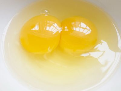 双黄蛋怎么形成？有下双黄蛋的特种家禽？能孵化出两只小鸡？